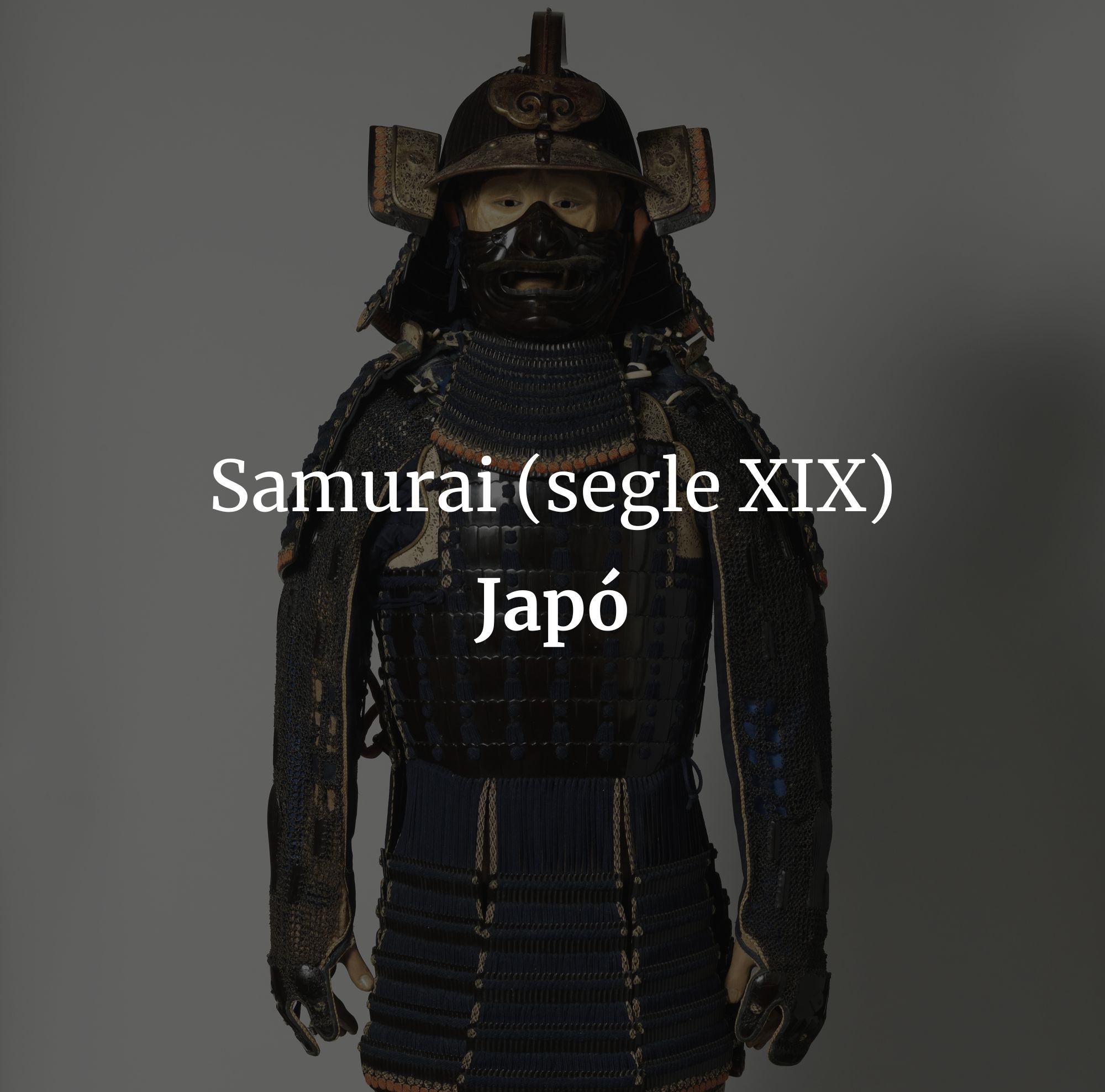 samuraicat